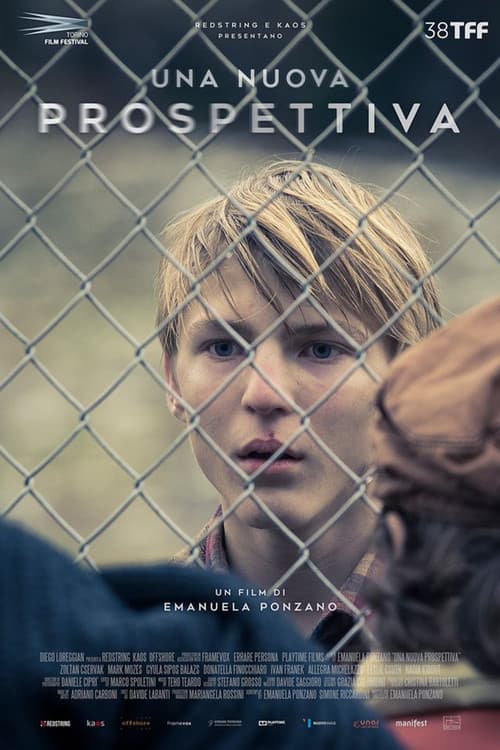 A New Perspective poster