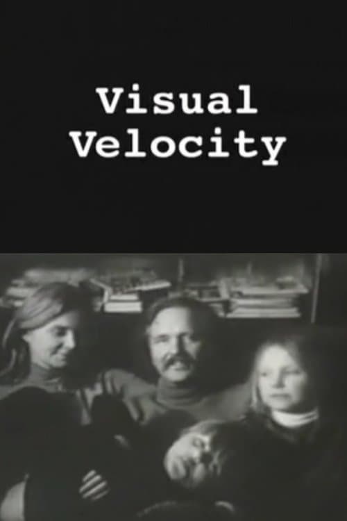 Visual Velocity: The Work of Stan VanDerBeek poster