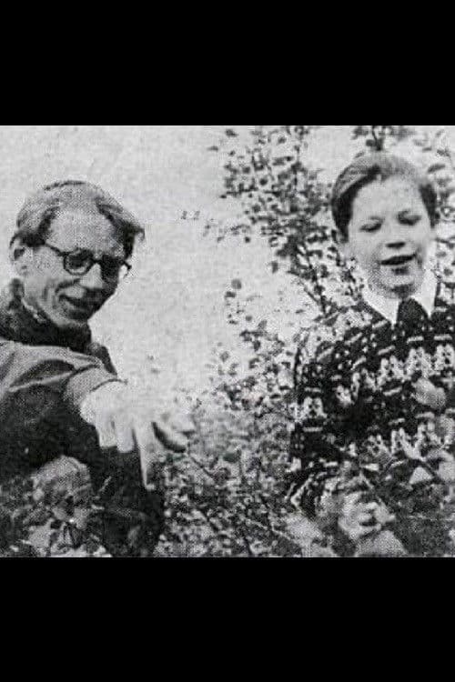 The Hillside Is Beautiful poster