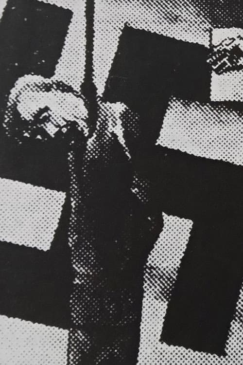 Frits Van den Berghe poster