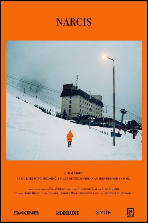 Narcissus poster