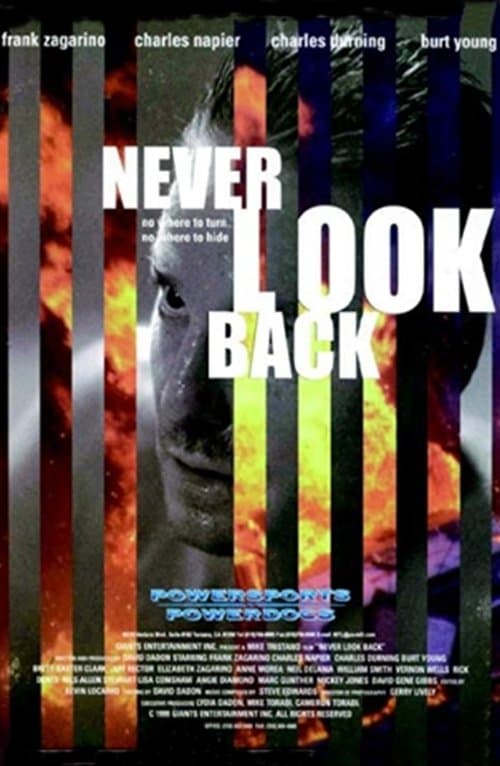Never Look Back poster