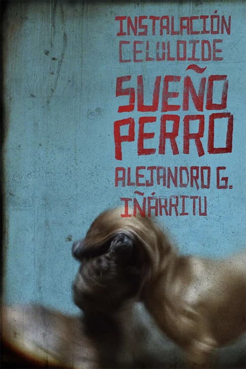 Sueño Perro poster
