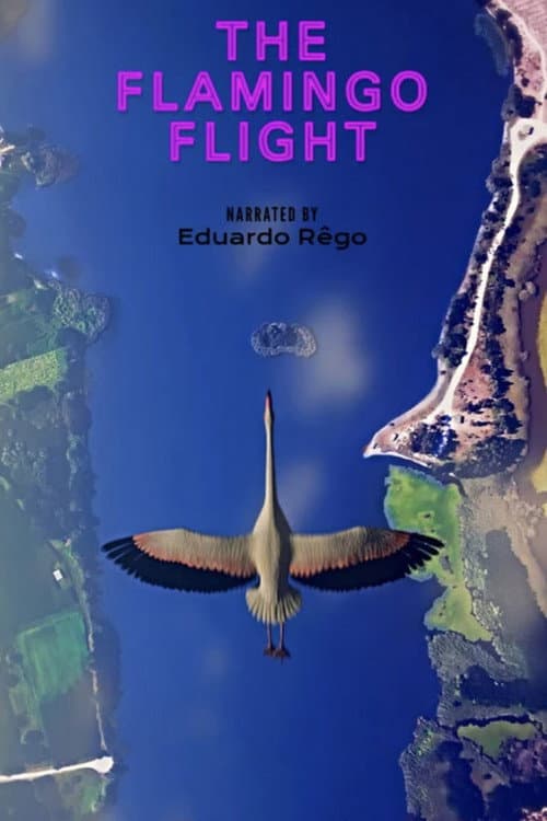 O Voo do Flamingo poster
