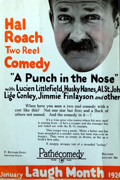 A Punch in the Nose poster