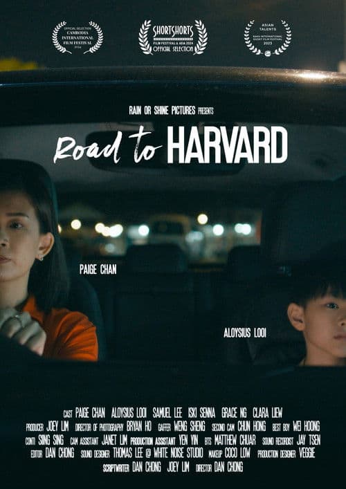 Road to Harvard poster