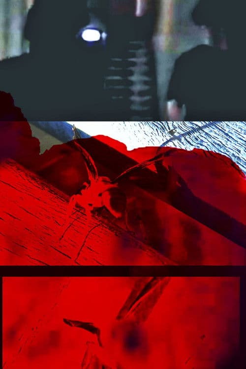 Because I felt like it poster