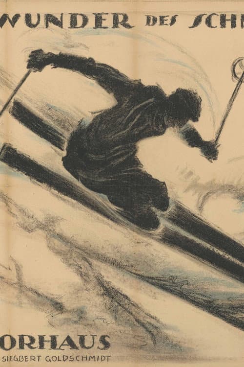 The Wonder of the Snowshoe, 2. Part - A Fox Hunt on Skis through the Engadine poster