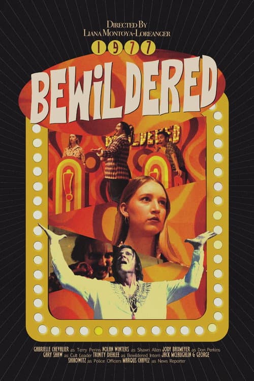 Bewildered poster