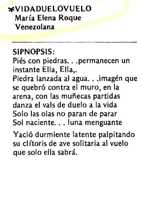 Vidaduelovuelo poster