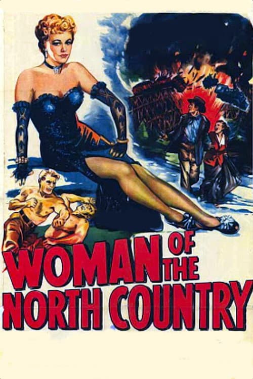Woman of the North Country poster
