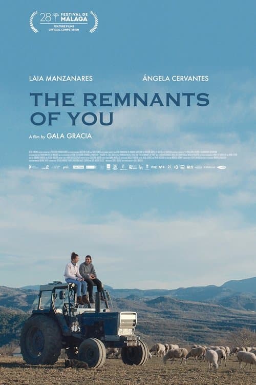 The Remnants of You poster