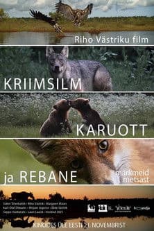 Notes from the Woods