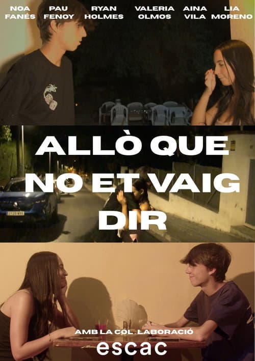 Allò que no et vaig dir poster