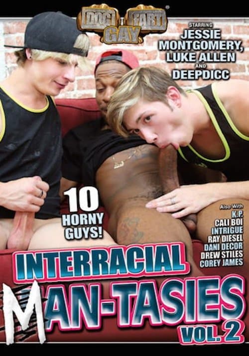 Interracial Man-tasies 2 poster