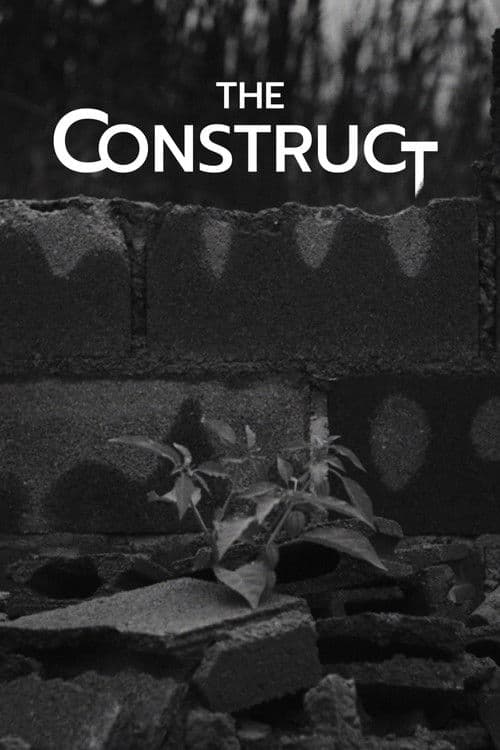 The Construct poster