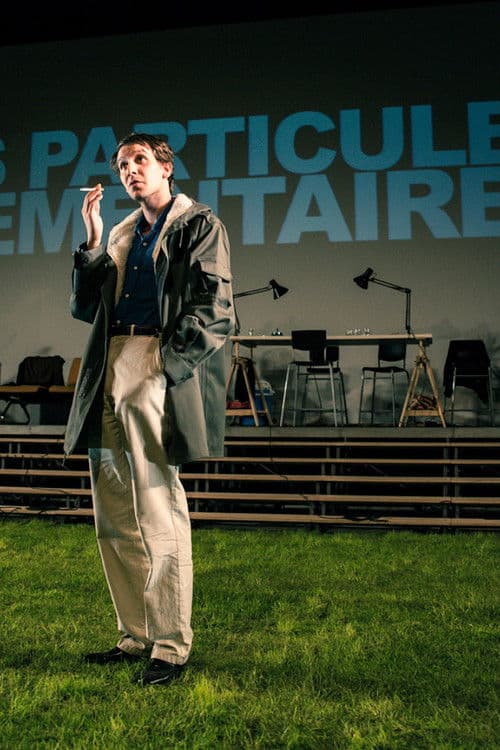 Les particules élémentaires poster