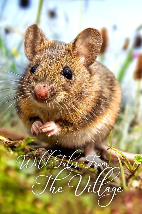 Wild Tales From The Village poster