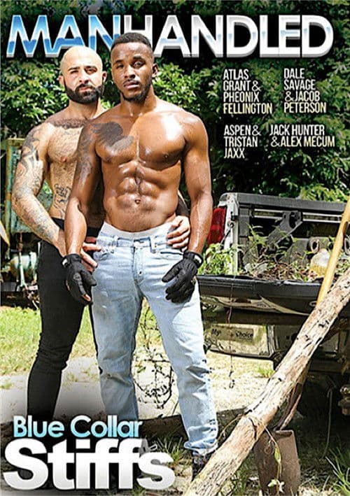 Blue Collar Stiffs poster