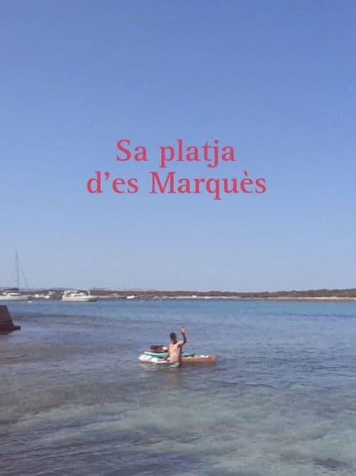 Sa platja d'es Marquès poster