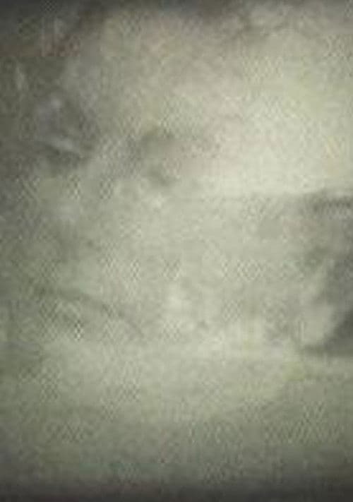 Yo veo conejos poster