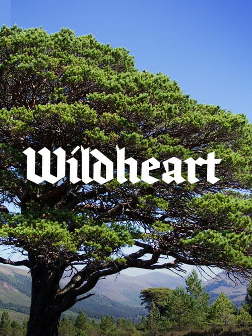 Wildheart poster
