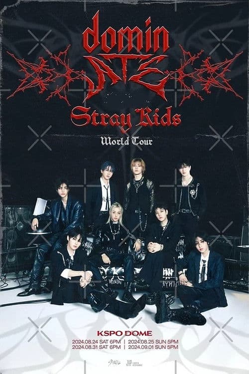 Stray Kids: The dominATE Experience poster