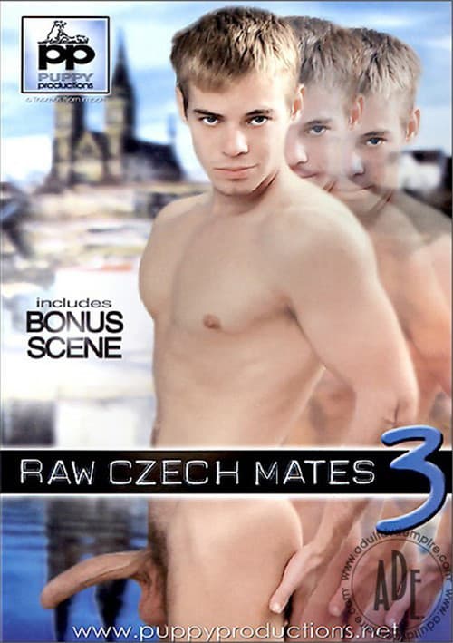 Raw Czech Mates 3 poster