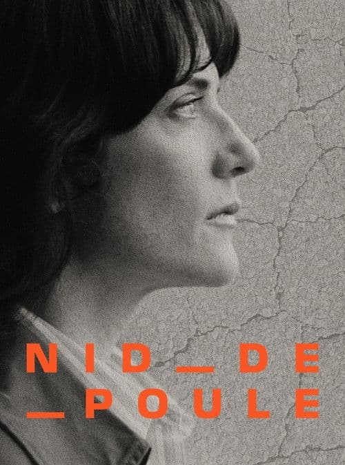 Potholes - Are our roads a public hazard? poster