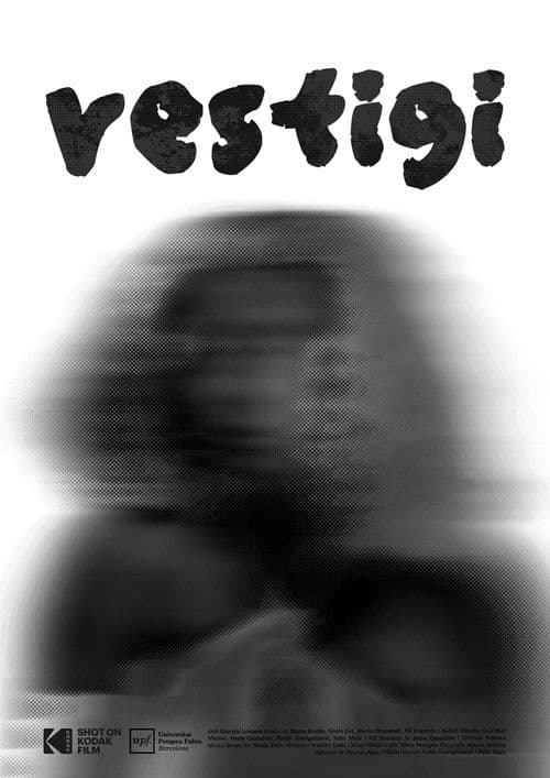 Vestigi poster