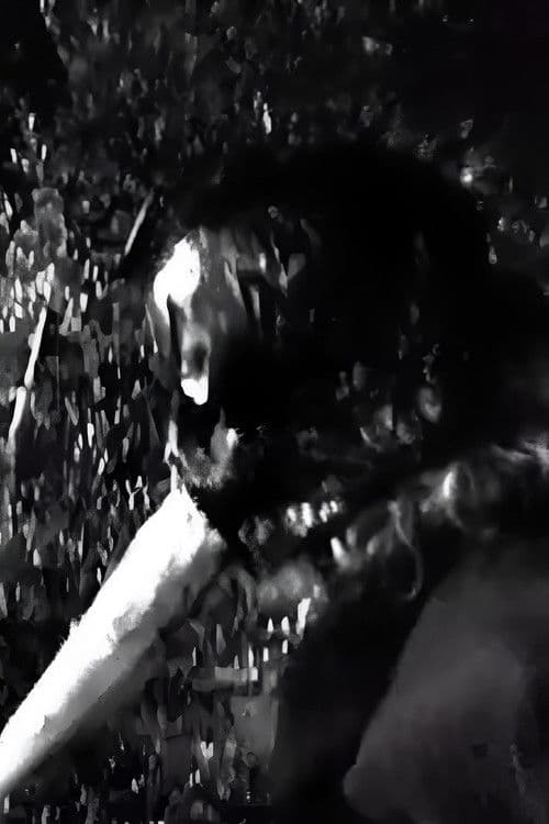 Orfeas Karavas profile photo