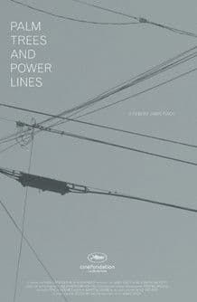Palm Trees and Power Lines poster