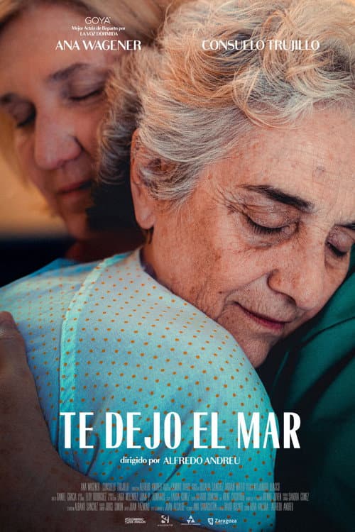 Te dejo el mar poster