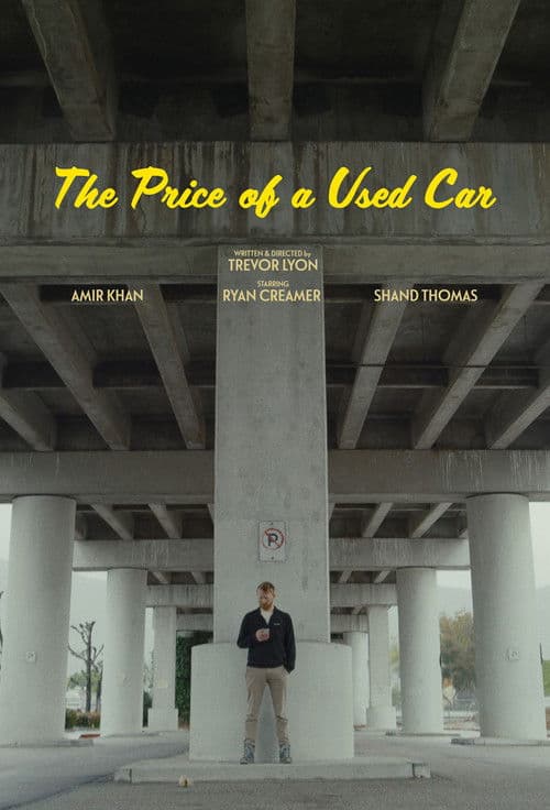 The Price of a Used Car poster