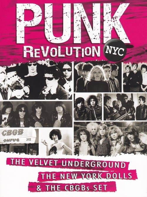 Punk Revolution NYC poster