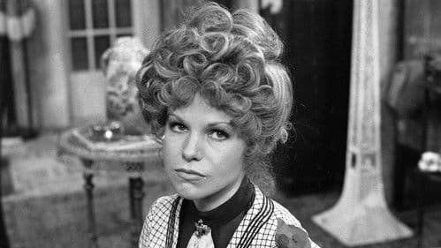 Pan Kobkán vdává dceru poster