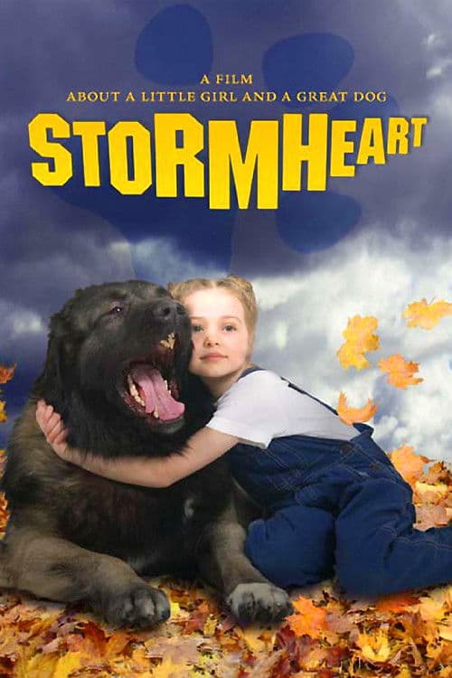 Stormheart poster