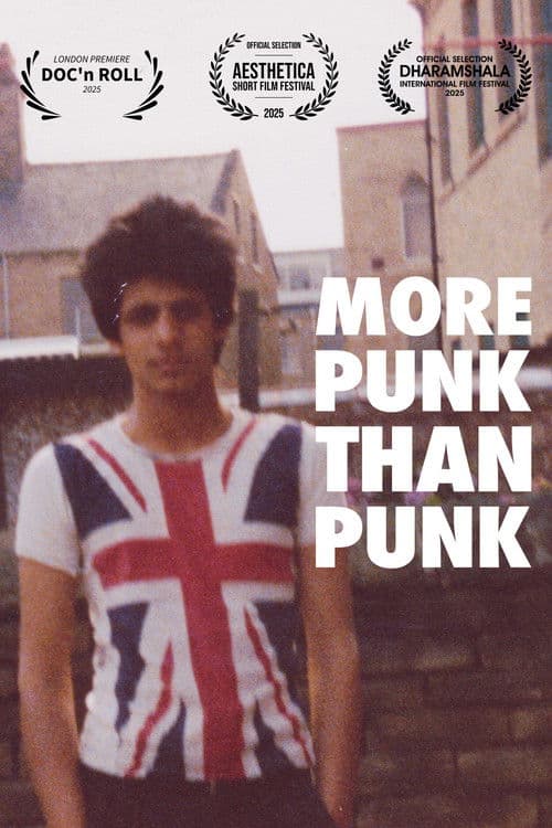 More Punk Than Punk poster