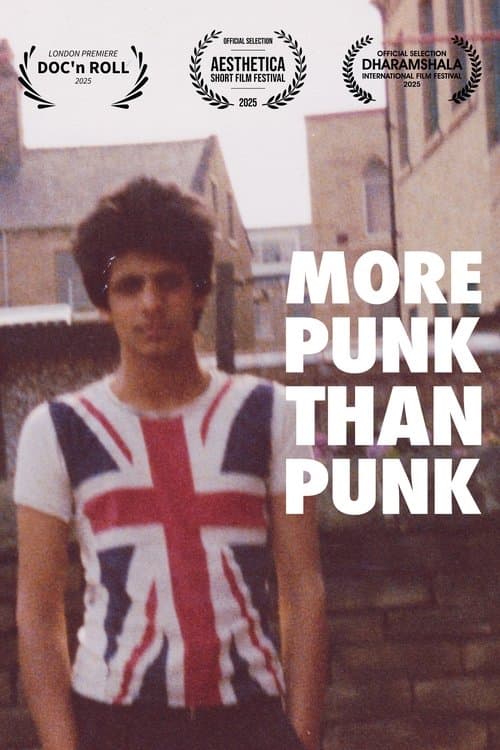 More Punk Than Punk poster