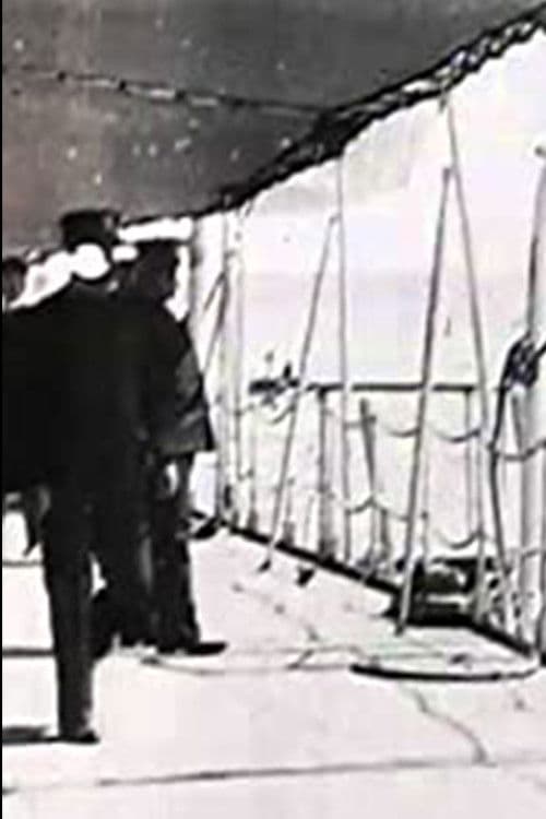 Admiral Dewey Receiving the Washington and New York Committees poster