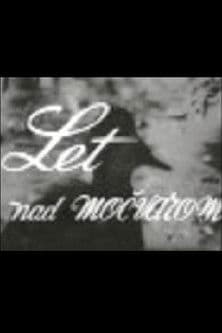 Flight Above the Marshes poster