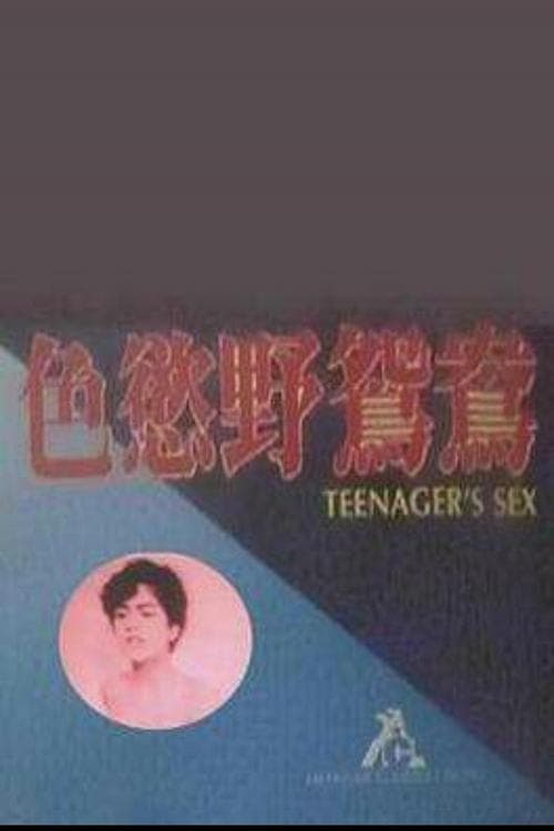 Teenager's Sex poster