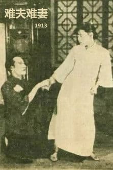 Wedding Festivities poster