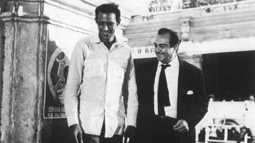 The Twelve Chairs poster