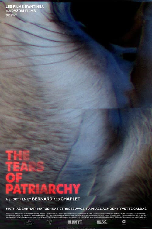 Les Larmes du Patriarcat poster