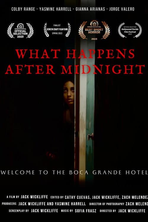 What Happens After Midnight poster