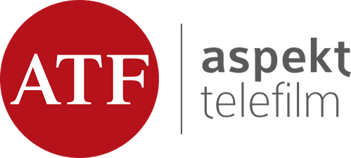 Aspekt Telefilm