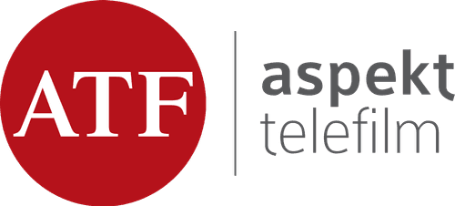Aspekt Telefilm