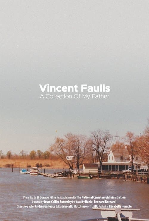 Vincent Faulls: A Collection of My Father poster
