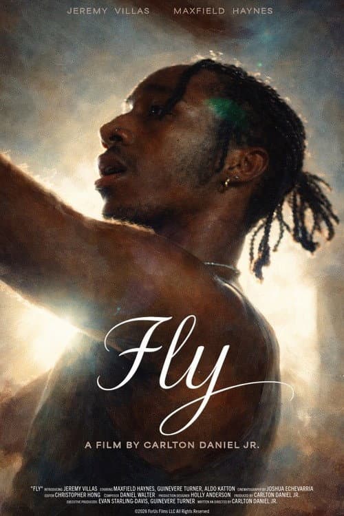 Fly poster